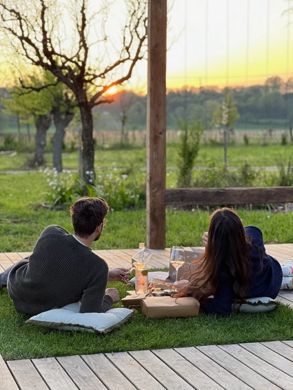 Picknick im Weinberg eines renommierten Wein Resortes am Gardasee 2